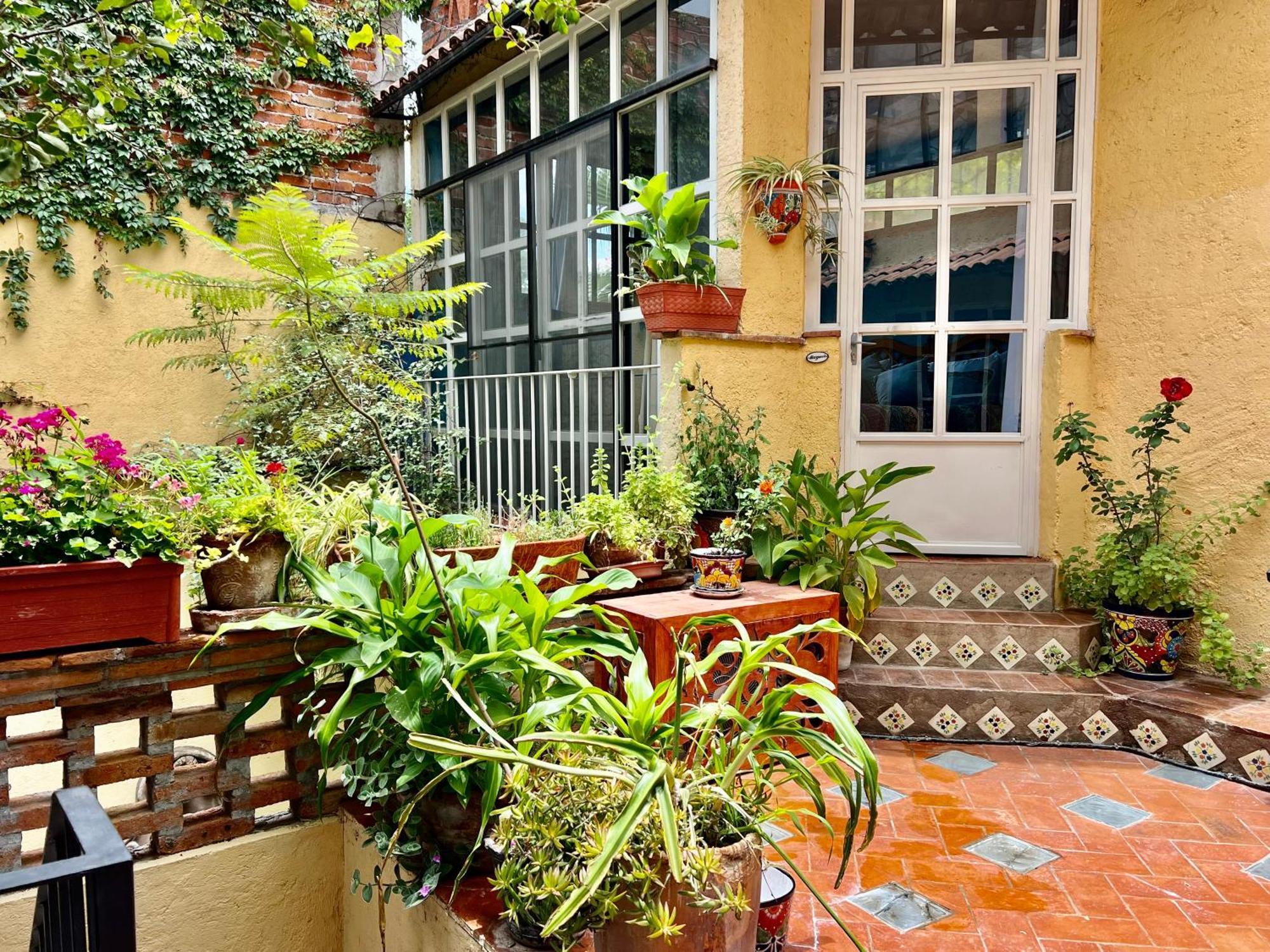 Boutique Hotel Casa Camellia San Miguel de Allende Extérieur photo