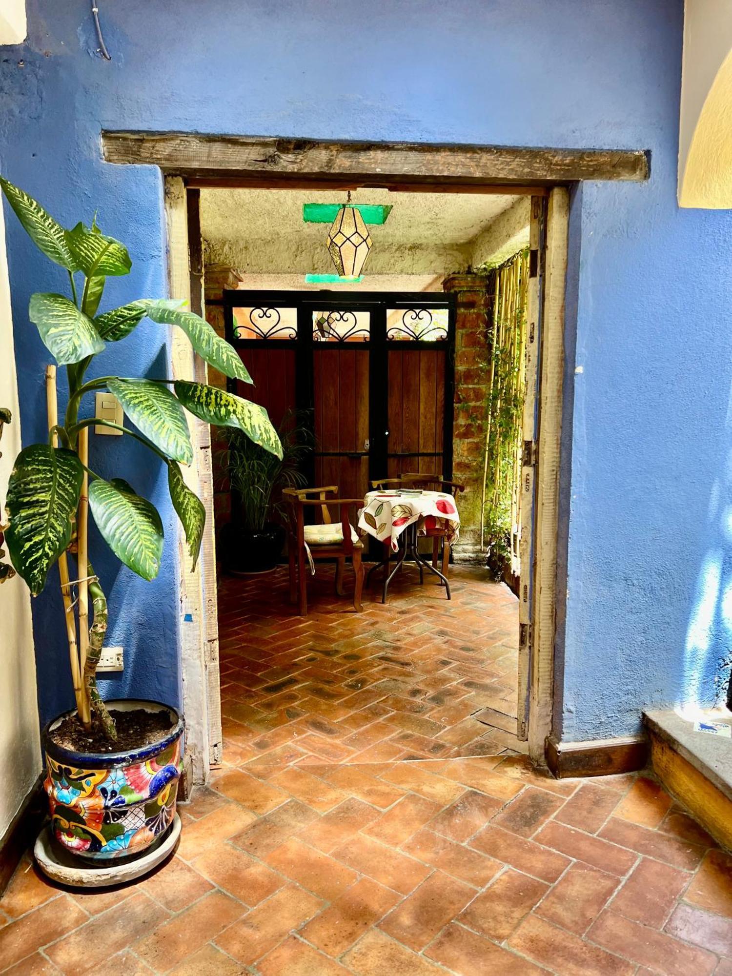 Boutique Hotel Casa Camellia San Miguel de Allende Extérieur photo